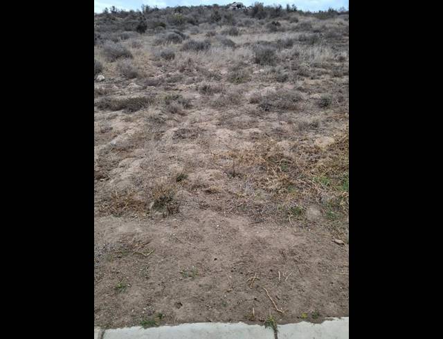 LAND FOR SALE IN WELGEDAAN ESTATE